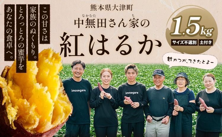 熊本県大津町産 中無田農園の紅はるか 約1.5kg (大中小サイズ不揃い) 熊本県大津町 [1-5日以内に出荷(土日祝除く)] さつまいも 芋 スイートポテト 干し芋にも 名産地 特産品 秋 旬---fn_nkmtben_s_24_4000_1500g---