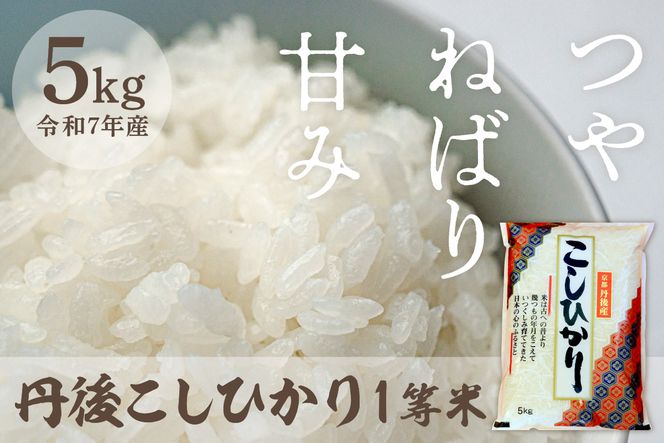 令和7年産　丹後こしひかり 5kg 1等米　MU00055