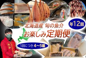 ＜定期便12回＞北海道産 旬の魚介 4～5種 お楽しみ定期便
