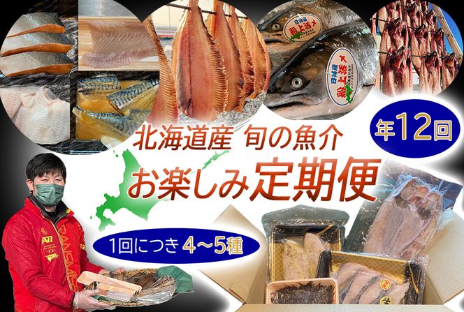 ＜定期便12回＞北海道産 旬の魚介 4～5種 お楽しみ定期便