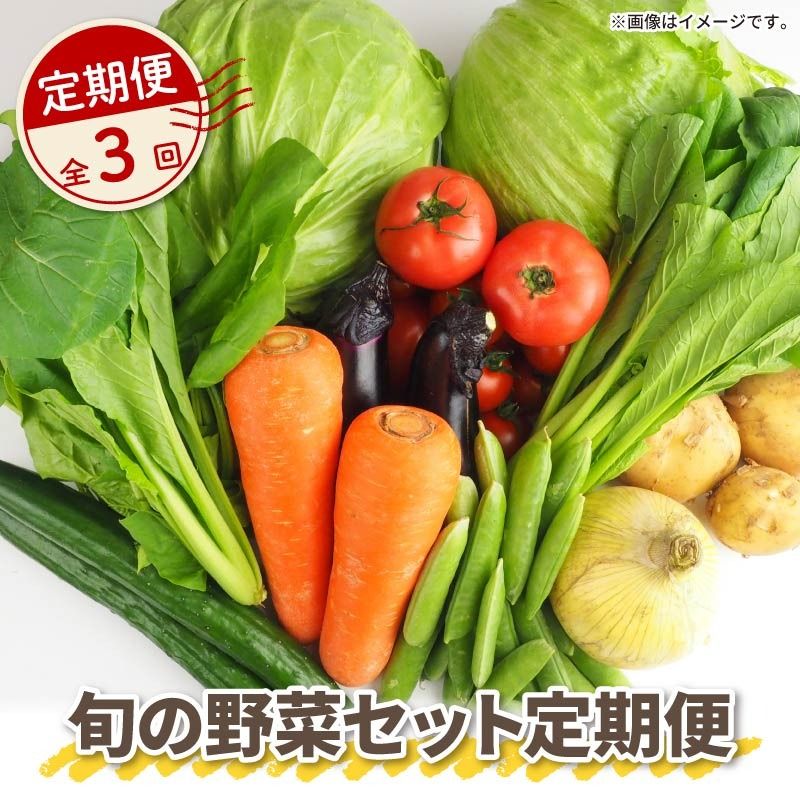 [全3回定期便] 野菜 詰め合わせ 産地 直送 10~ 14種 減農薬 栽培 旬 採れたて やさい 家庭用 健康 食材 静岡県 藤枝市