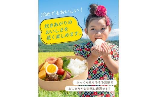 【選べる 白米・玄米・無洗米】令和6年産 平泉町産 ひとめぼれ 300kg (5kg×60袋) 〈食味ランキング「特A」13年連続受賞〉/ こめ コメ 米 お米 おこめ 白米 ご飯 ごはん ライス