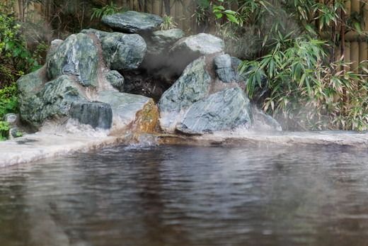 日本三大美肌の湯　喜連川温泉　亀の井ホテル喜連川宿泊割引券（30,000円分）