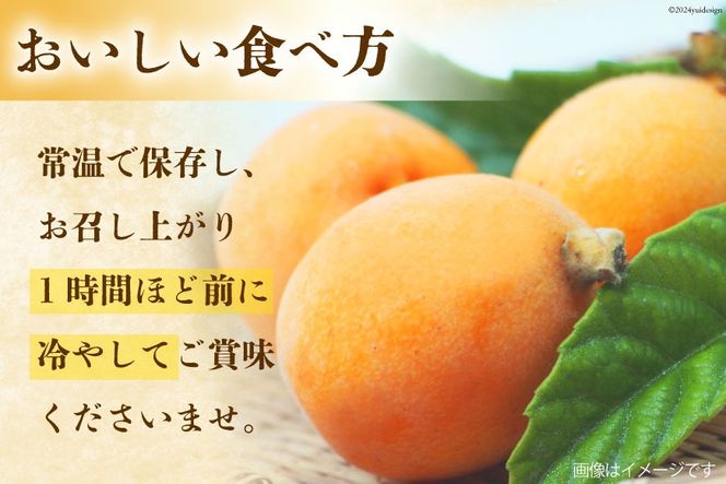 BI208 【令和9年度出荷分】訳あり 長崎 びわ 500g 温室ハウス栽培 長崎早生 [ フルーツ 枇杷 ビワ 果物 化粧箱入り 季節限定 99アイランドファーム 長崎県 島原市 ]