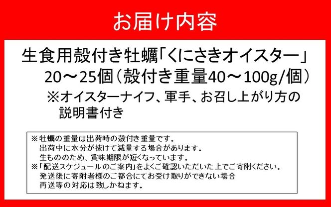 牡蠣 生食用 殻付き くにさきオイスター 20～25個（殻付き重量40～100g/個） 【オイスターナイフ付き】 カキ oyster 生牡蠣　_2113R-2