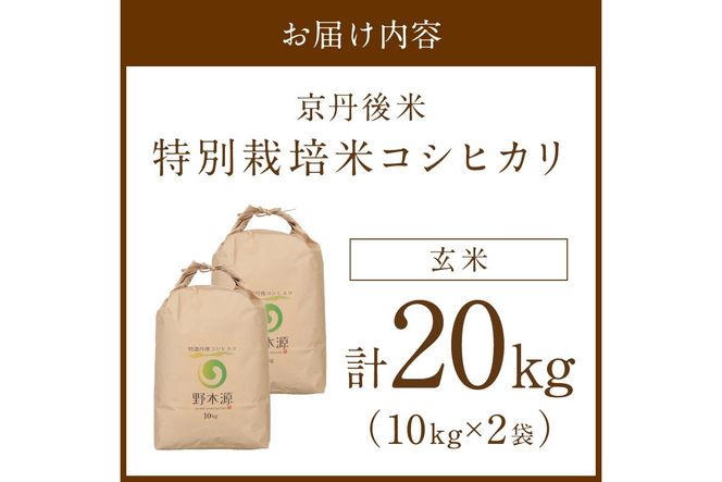 2026年産 京丹後米 特別栽培米コシヒカリ 20kg（玄米） 玄米 ふるさと納税 米 お米 ご飯 ごはん コシヒカリ 京丹後産　NO00035