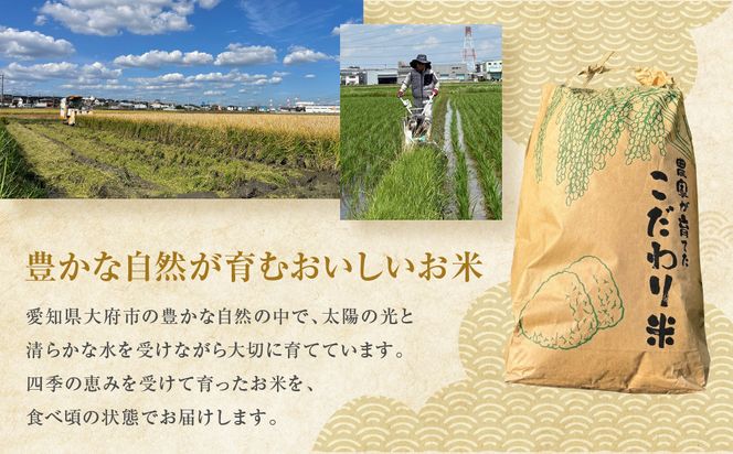 ミルキークイーン　5kg 232238_DV002