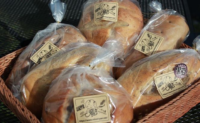【定期便12回】手づくり天然酵母大きな食事パンセット6種  詰め合わせ 手作り 天然酵母 国産小麦 自然発酵