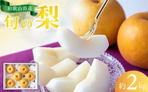 【先行予約受付】和歌山県産の美味しい梨 約2kg （6～8玉入り）【2026年8月中旬頃から9月中旬頃に順次発送予定】【mat103B】