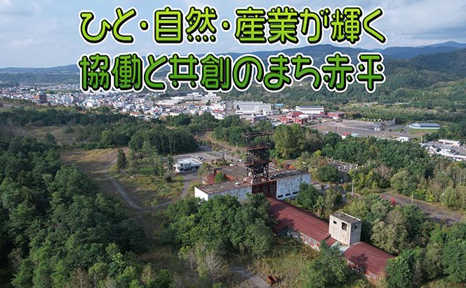木の名刺　カバ 工芸品 雑貨 日用品 文房具 