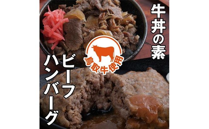 とりちく牛丼の素・鳥取ビーフハンバーグ詰め合わせ 312011_CA001