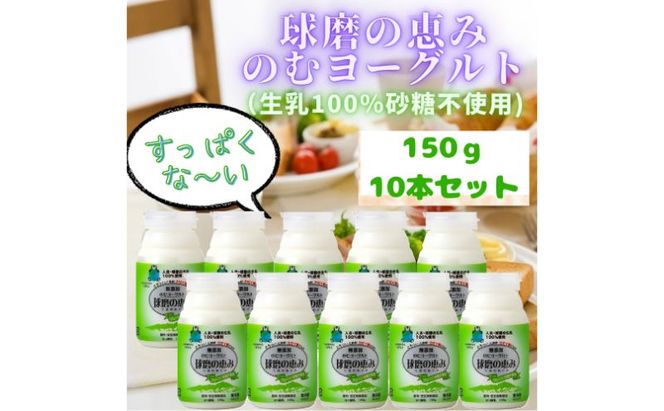 球磨の恵み のむヨーグルト ( 砂糖不使用 ) 10本 セット 【配送不可：沖縄県、離島】