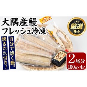 【0165707a】大隅産鰻フレッシュ冷凍(4パック・計約400g・タレ、刷毛付) うなぎ ウナギ 鰻 国産 冷凍うなぎ 蒲焼き たれ はけ ハケ 刷毛 鹿児島 ふるさと 【南嘉起屋】