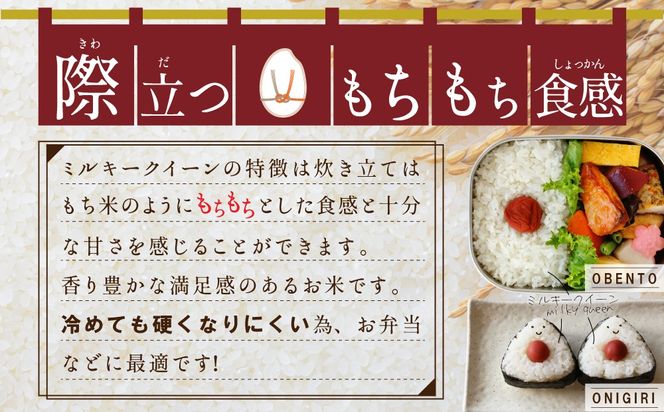 【 最短 翌日発送 】 ＼ 選べる内容量 ／ 【 令和7年産 】 茨城県産 ミルキークイーン 5kg 10kg 五つ星 お米マイスター 監修 こしひかり 国産 こめ コメ 米 精米 すぐ発送 人気 美味しい ランキング ふるさと納税 返礼品