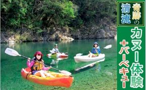 奇跡の清流小川カヌー・カヤック体験＋ＢＢＱケータリング N002-YZD002
