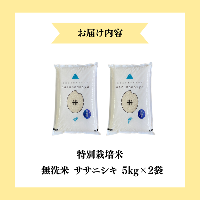 【令和7年産】栽培期間中 農薬・化学肥料不使用 【無洗米】特別栽培米ササニシキ5kg×2