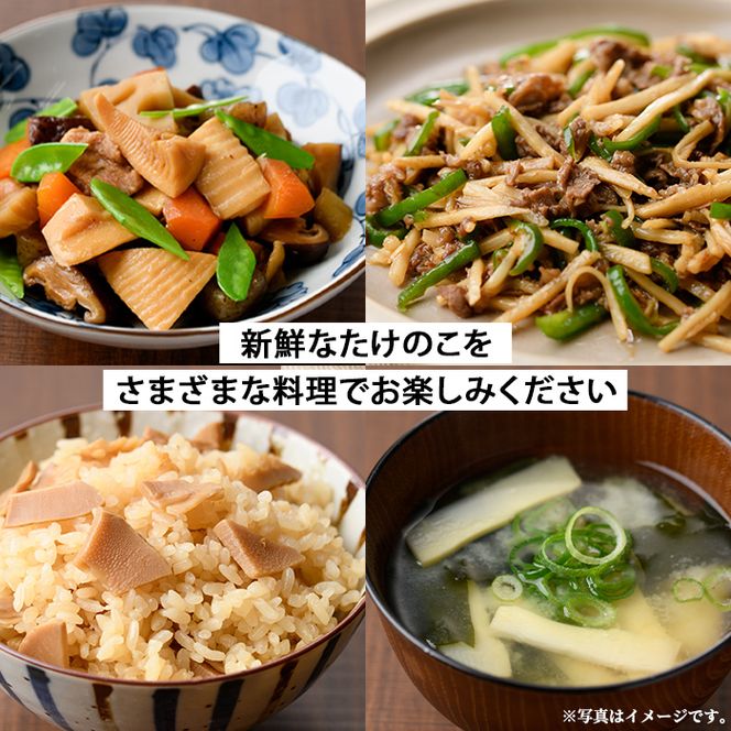 ＜先行予約受付中！2027年2月下旬以降順次発送予定＞ 【土日祝着】朝堀り青果たけのこ(約5kg) 国産 新鮮 タケノコ 青果 竹の子 筍 野菜 春 旬 期間限定 数量限定 【上野食品】akn008-20-B