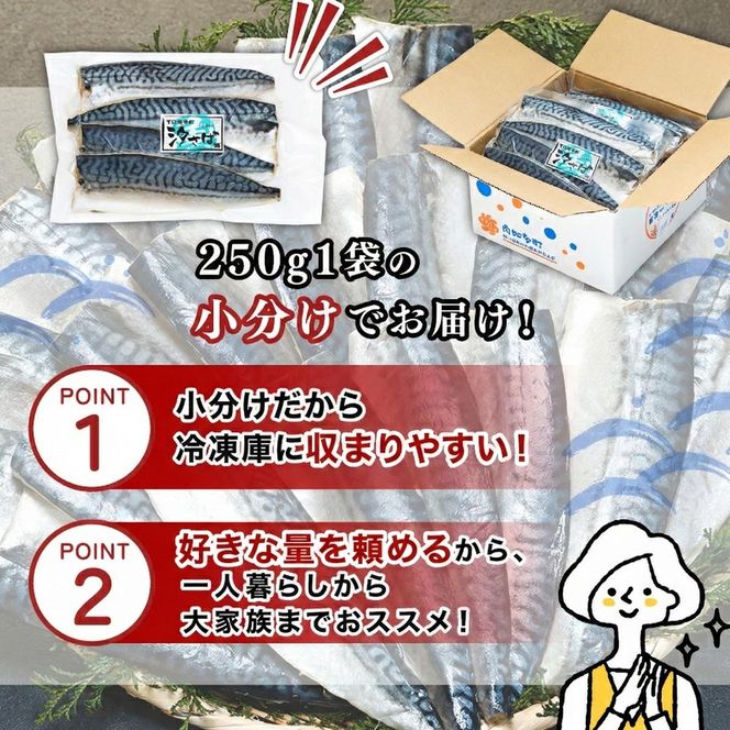 訳あり塩サバ フィレ1.5kg