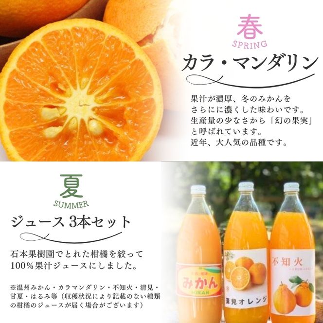 【全4回】 柑橘 定期便 石本果樹園 旬の柑橘を春夏秋冬でお届け！ /  フルーツ 果物 くだもの 柑橘 フルーツ定期便 くだもの定期便 定期便 みかん ミカン 温州みかん せとか カラマンダリン ジュース 産地直送 旬 人気 おすすめ 三重県 紀宝町【tkb508】