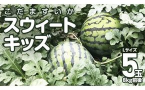 【 地下水100％栽培 】 こだますいか 「 スウィートキッズ 」 5玉入り 先行予約 スウィートキッズ すいか スイカ 小玉スイカ こだまスイカ 西瓜 フルーツ 果物 [DU001ci]