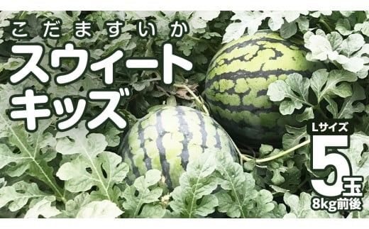 【 地下水100％栽培 】 こだますいか 「 スウィートキッズ 」 5玉入り 先行予約 スウィートキッズ すいか スイカ 小玉スイカ こだまスイカ 西瓜 フルーツ 果物 [DU001ci]