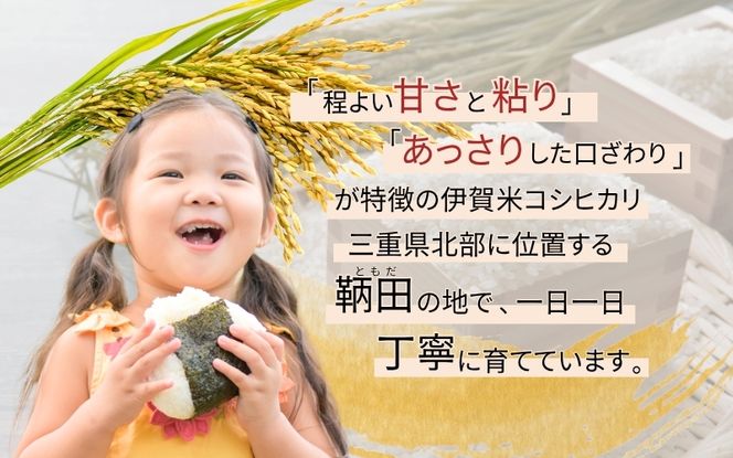 令和8年産 特別栽培米 伊賀米コシヒカリ 鞆田のつづみ 白米 10kg【nsan0002A】