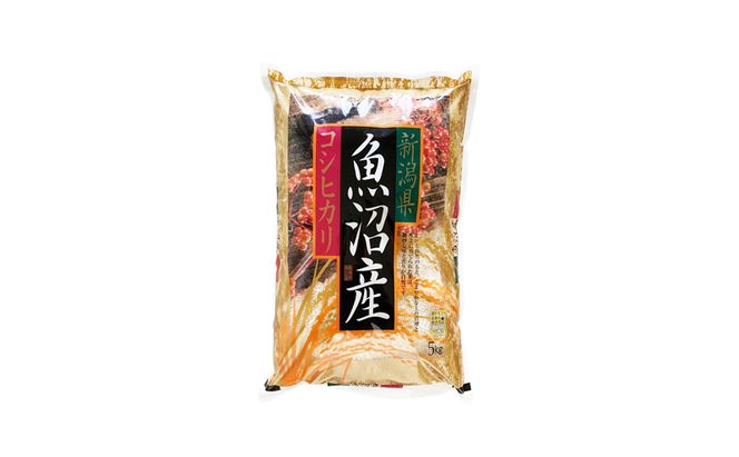 令和8年産　先行予約　【数量限定】定期便/全3回　 従来品種 魚沼産コシヒカリ 5kg 〈令和8年10月下旬～発送予定〉