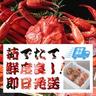 757.【ボイル】≪2025年12月～2026年1月発送≫ 特撰 松葉がに【ブランドタグ付き】（900g超×3杯) 313726_BS006VC02