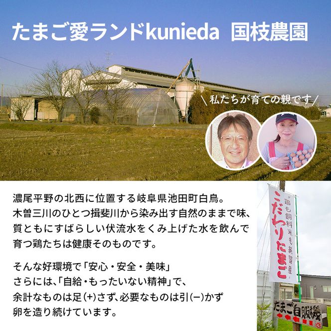 卵 わずか4%の希少な純国産鶏 いけだの森たまご 40個 こだわり おこめのたまご 玉子 鶏卵 生卵 産地直送 冷蔵配送 TKG 卵かけご飯 岐阜県産 