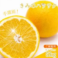  新鮮！はじける食感！「きみのハッサク」5kg サイズ L~2L ご家庭用(秀優混合) /八朔 柑橘 和歌山県 手選別 紀美野町産【kmf021-c-5】