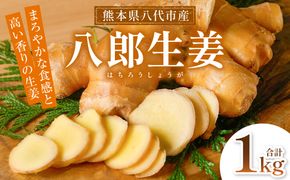 八郎生姜 1kg しょうが ショウガ ガリ ジンジャー 野菜 食品 薬味 生姜焼き しょうが焼き 温活 冷え性 対策 熊本県 八代市 東陽町 産地直送 国産