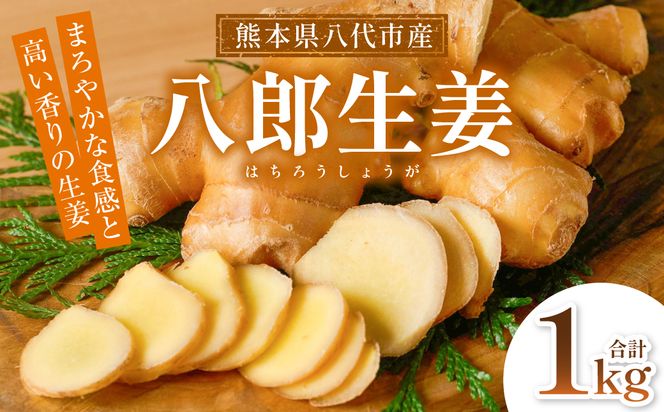 八郎生姜 1kg しょうが ショウガ ガリ ジンジャー 野菜 食品 薬味 生姜焼き しょうが焼き 温活 冷え性 対策 熊本県 八代市 東陽町 産地直送 国産