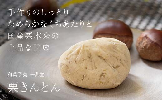 新栗 和菓子処一茶堂 栗きんとん 10個入り F4N-0831
