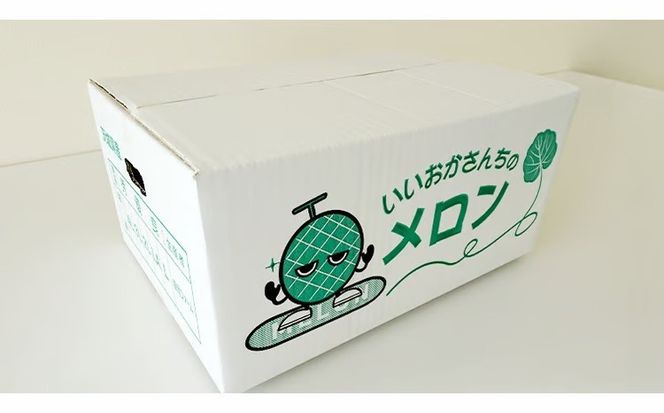 【 令和9年産 】【 先行予約 】タカミレッドメロン 秀品 1箱 2玉入り 飯岡 メロン 貴味 タカミ 赤肉 果物 フルーツ 甘い [CG002ya]