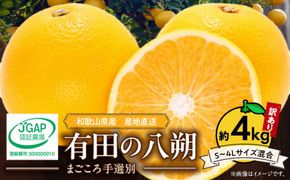 ZE6379n_有田の八朔 (はっさく)【訳あり　家庭用】4kg (S～4Lサイズ混合)　まごころ手選別