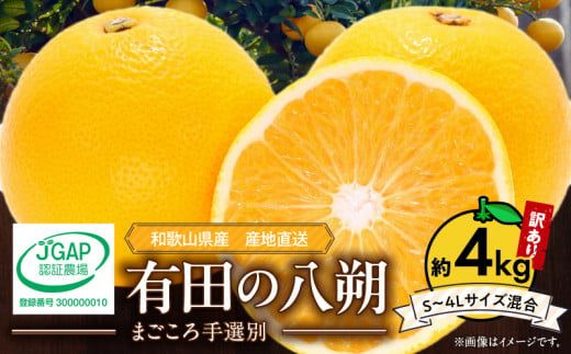 【2027年先行予約】和歌山県産 有田の八朔 (はっさく)【訳あり 家庭用】約4kg【S～4Lサイズ混合】まごころ手選別 _ZE6379n