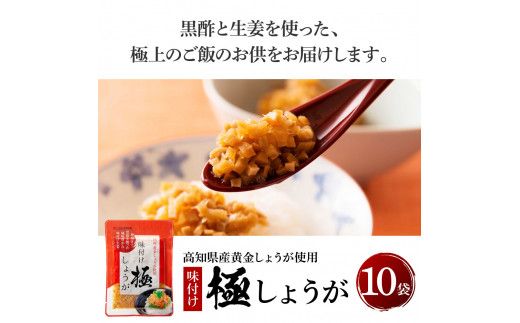 【CF-R7hbk】SNS006　味付け極しょうが110g×10袋 - しょうが ショウガ 生姜 生ふりかけ 坂田信夫商店 黄金しょうが 高知 国産 料理 おかず 調味料 ご飯のお供 混ぜご飯 刻み生姜 話題