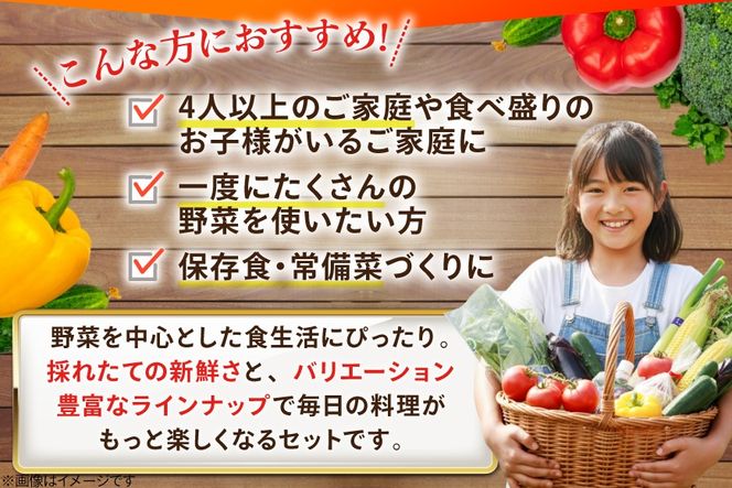 AJ315 季節の野菜・果物セット 13～15品 しそジュース付き [ 野菜 詰合せ 長崎県 島原市 ]