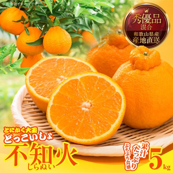 MK1011_不知火 (しらぬい) とにかく大玉 どっこいしょ 箱込 5kg (内容量約4.4kg) 秀品 優品 混合