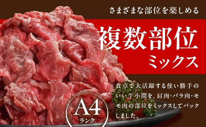 生産農家応援! 宮崎牛切り落とし1kg≪スキンパック包装でお届け!≫_14-2601_ (都城市) 牛肉 切り落とし 宮崎牛 和牛 国産 モモ肉 小分け 200g×5P 牛肉 肉 牛丼 炒めもの カレー 肉じゃが