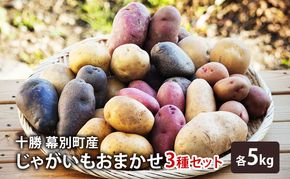 十勝 幕別町産 じゃがいも15kg おまかせ3種(各5kg)【渡邉農場】 [2026年11月出荷開始]【 野菜 いも イモ 芋 じゃがいも ジャガイモ 北海道 十勝 幕別 】