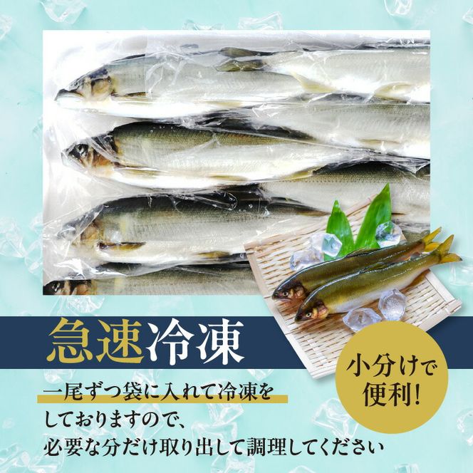 【2026年11月以降発送】【先行予約】【延岡産】小分けで便利！冷凍子持ち鮎１kg N017-YA3402