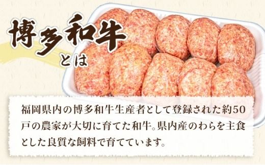 【全6回定期便】A4ランク博多和牛入り特製生ハンバーグ130g×10個×6回 計60個 糸島ミートデリ工房 [ACA255] 博多 和牛 牛肉 豚肉 ハンバーグ 赤身 国産 福岡 冷凍