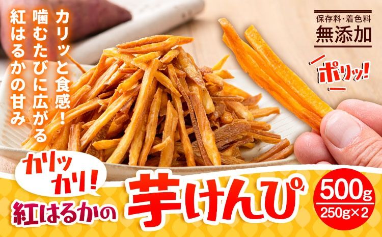 カリッカリ 紅はるかの芋けんぴ 500g (250g×2) 熊本県大津町産 無添加[30日以内に出荷予定(土日祝を除く)]薩摩芋 さつまいも サツマイモ イモケンピ 保存料・着色料 不使用---oz_lcl_214_500g---
