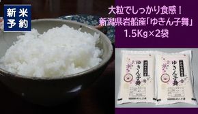 【新米受付・令和7年産米】大粒でしっかり食感 新潟県村上市岩船産 ゆきん子舞 3kg（1.5kg×2袋） 1039042N 白米 新潟 岩船 ゆきん子舞 一等米 農家直送 あっさり 低温倉庫保管 新耕農産