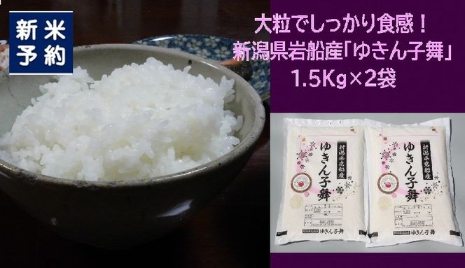 【新米受付・令和8年産米】 新潟県村上市岩船産 ゆきん子舞 3kg（1.5kg×2袋） 1039042N 白米 新潟 岩船 ゆきん子舞 一等米 農家直送 あっさり 低温倉庫保管 新耕農産