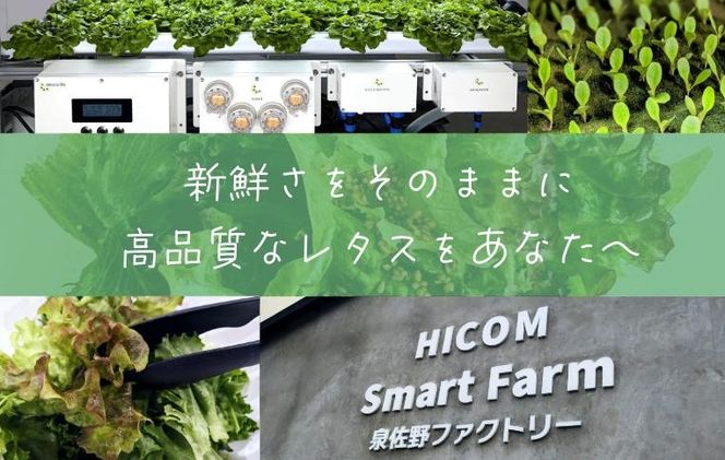 y{򍲖sz099H2937 y͔|Ԓ_sgpzt^X^bht^X^o^rA^X Hה׃Zbgi8ܓj