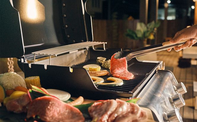 岩屋温泉 絵島別庭 海と森　1日1組限定 温泉付き貸切貸別荘 1泊2食付き