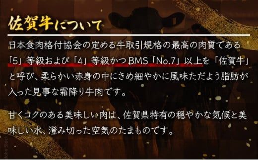 700g 佐賀牛｢切り落とし｣  D-438