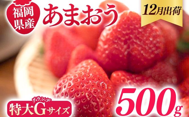 福岡県産 あまおう 500g （250g×2パック） いちご 12月中発送 いちご 苺 フルーツ 果物 くだもの 大粒Gサイズ グランデ 農家直送 大粒 不揃い 福岡県 福岡 九州 グルメ お取り寄せ